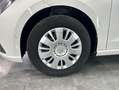 SEAT Ibiza 1.6 TDI 70kW (95CV) Style Go Blanco - thumbnail 5