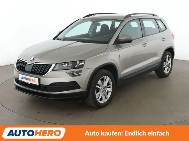 Skoda Karoq main image