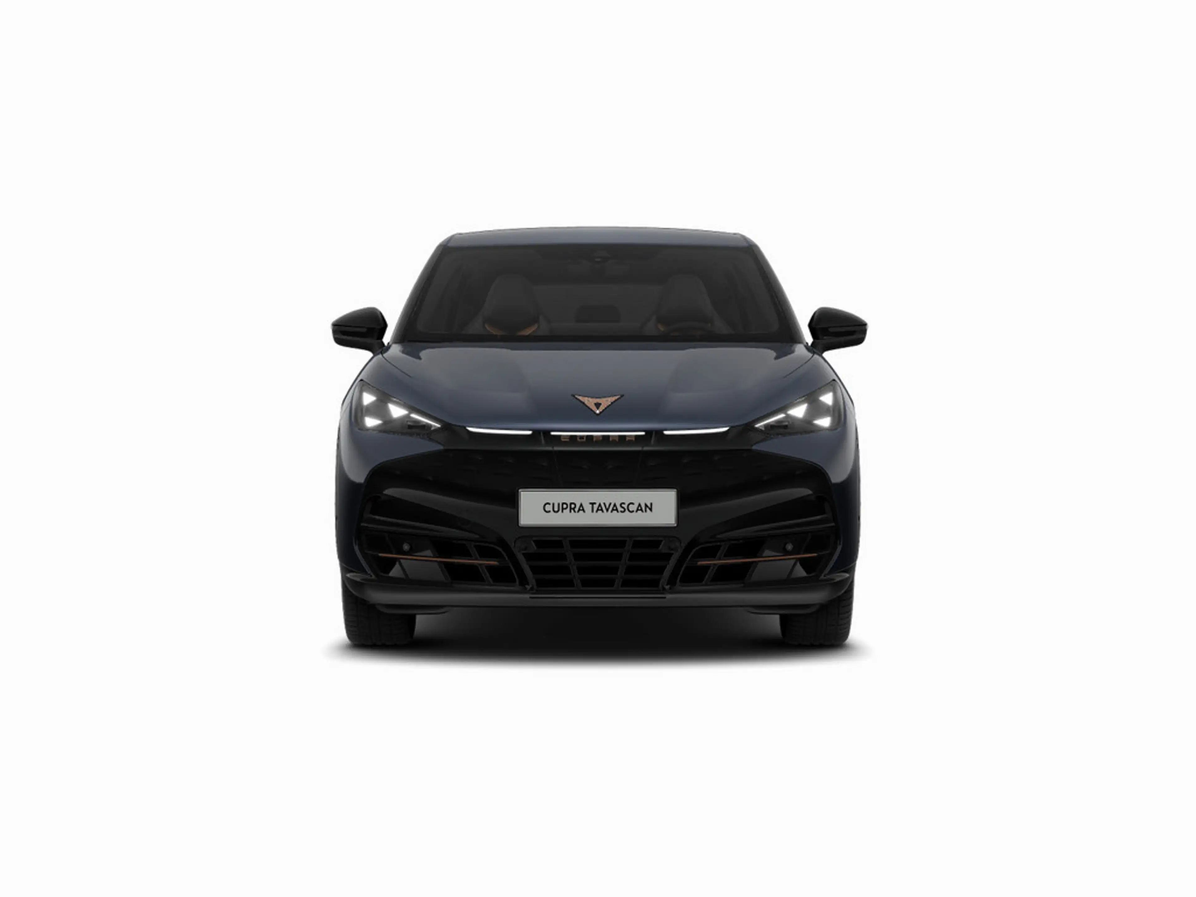 CUPRA Tavascan Endurance LED KAM KEYLESS ACC PDC — photo 7