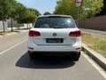 Volkswagen Touareg 3.0 V6 tdi 204cv tiptronic Blanc - thumbnail 4
