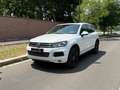 Volkswagen Touareg 3.0 V6 tdi 204cv tiptronic Blanc - thumbnail 1