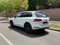 Volkswagen Touareg 3.0 V6 tdi 204cv tiptronic Blanc - thumbnail 7