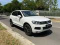 Volkswagen Touareg 3.0 V6 tdi 204cv tiptronic Blanc - thumbnail 3