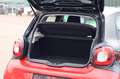 smart forFour Rouge - thumbnail 6