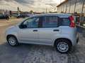 Fiat Panda Winterpaket/PDC Gris - thumbnail 4