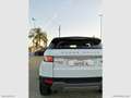 Land Rover Range Rover Evoque RR Evoque 2.2 TD4 5p. Pure Weiß - thumbnail 8