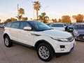Land Rover Range Rover Evoque RR Evoque 2.2 TD4 5p. Pure Alb - thumbnail 4