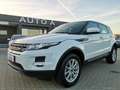 Land Rover Range Rover Evoque RR Evoque 2.2 TD4 5p. Pure Alb - thumbnail 3