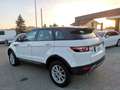 Land Rover Range Rover Evoque RR Evoque 2.2 TD4 5p. Pure Weiß - thumbnail 7