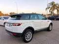 Land Rover Range Rover Evoque RR Evoque 2.2 TD4 5p. Pure Alb - thumbnail 5