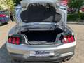 Ford Mustang GT Cabriolet 5.0 V8/ Tageszulassung / So Silber - thumbnail 21
