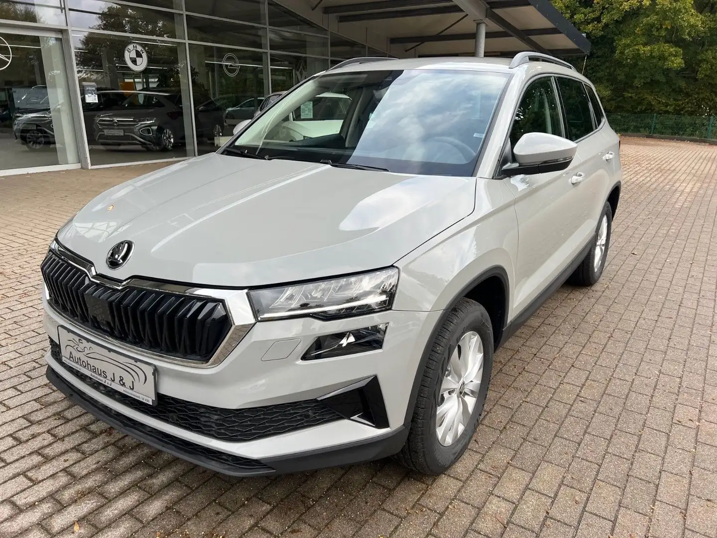 Skoda Karoq Selection Plus el.Heckklappe/Kamera/PDC Grijs - 1