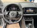 Skoda Karoq Selection Plus el.Heckklappe/Kamera/PDC Grijs - thumbnail 11