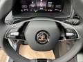 Skoda Karoq Selection Plus el.Heckklappe/Kamera/PDC Grijs - thumbnail 12
