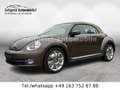 Volkswagen Beetle *LEDER*TÜV & SERVICE NEU* Коричневий - thumbnail 1