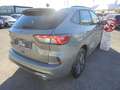 Ford Kuga Kuga III 2020 2.5 phev ST-Line 2wd 225cv cvt Gris - thumbnail 12