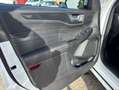 Ford Kuga 2.5 Duratec PHEV ST-LINE Weiß - thumbnail 14