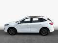 Ford Kuga 2.5 Duratec PHEV ST-LINE Weiß - thumbnail 5