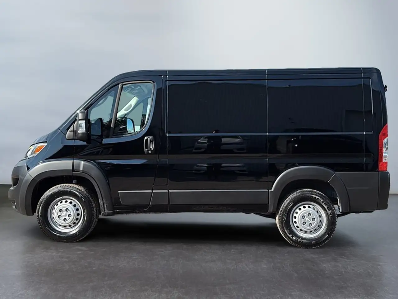 RAM Promaster снимка RAM Promaster