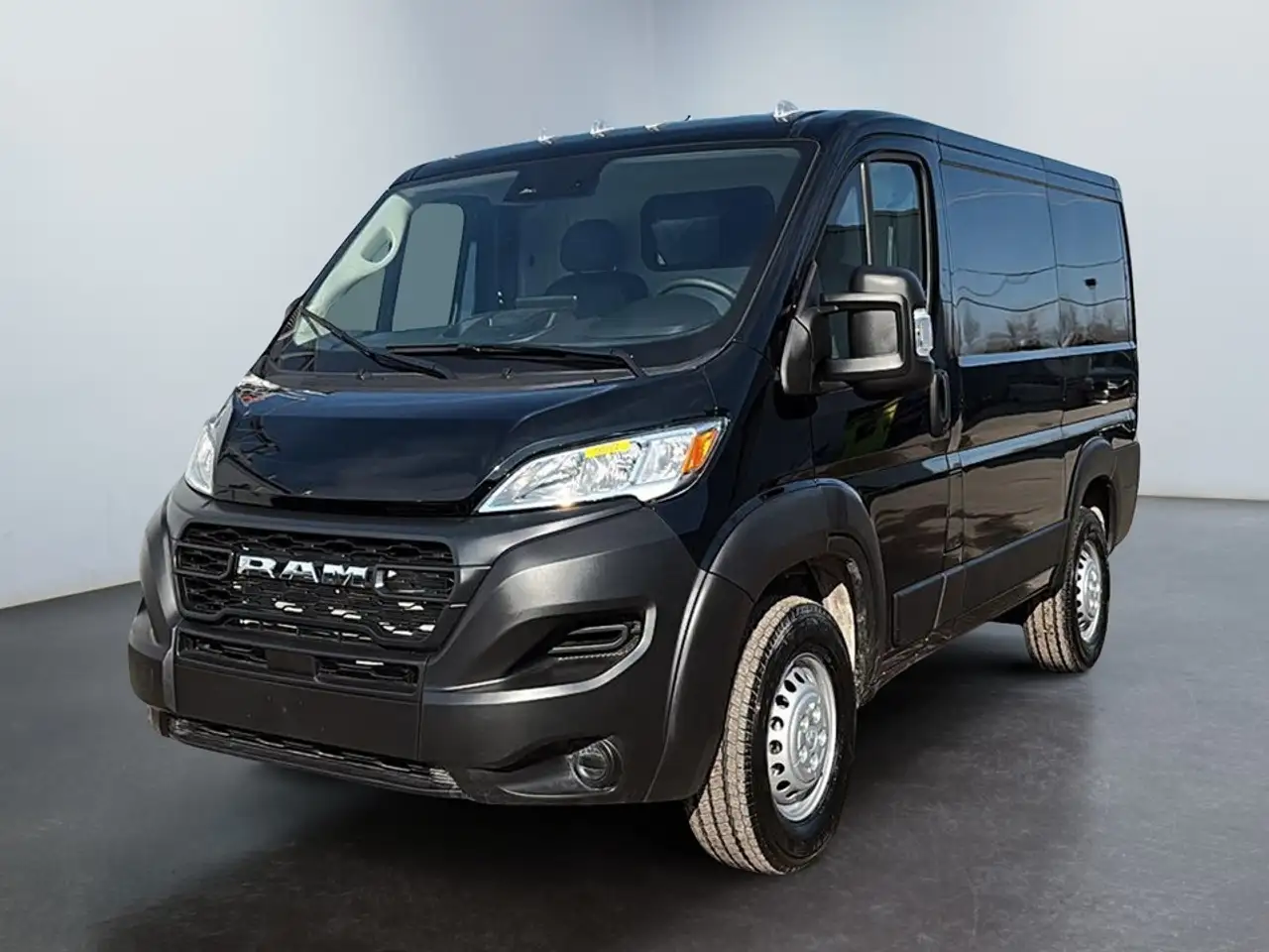 RAM Promaster снимка RAM Promaster