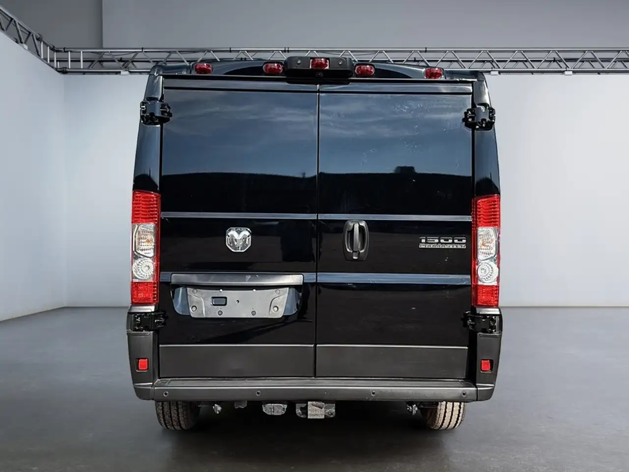 RAM Promaster снимка RAM Promaster
