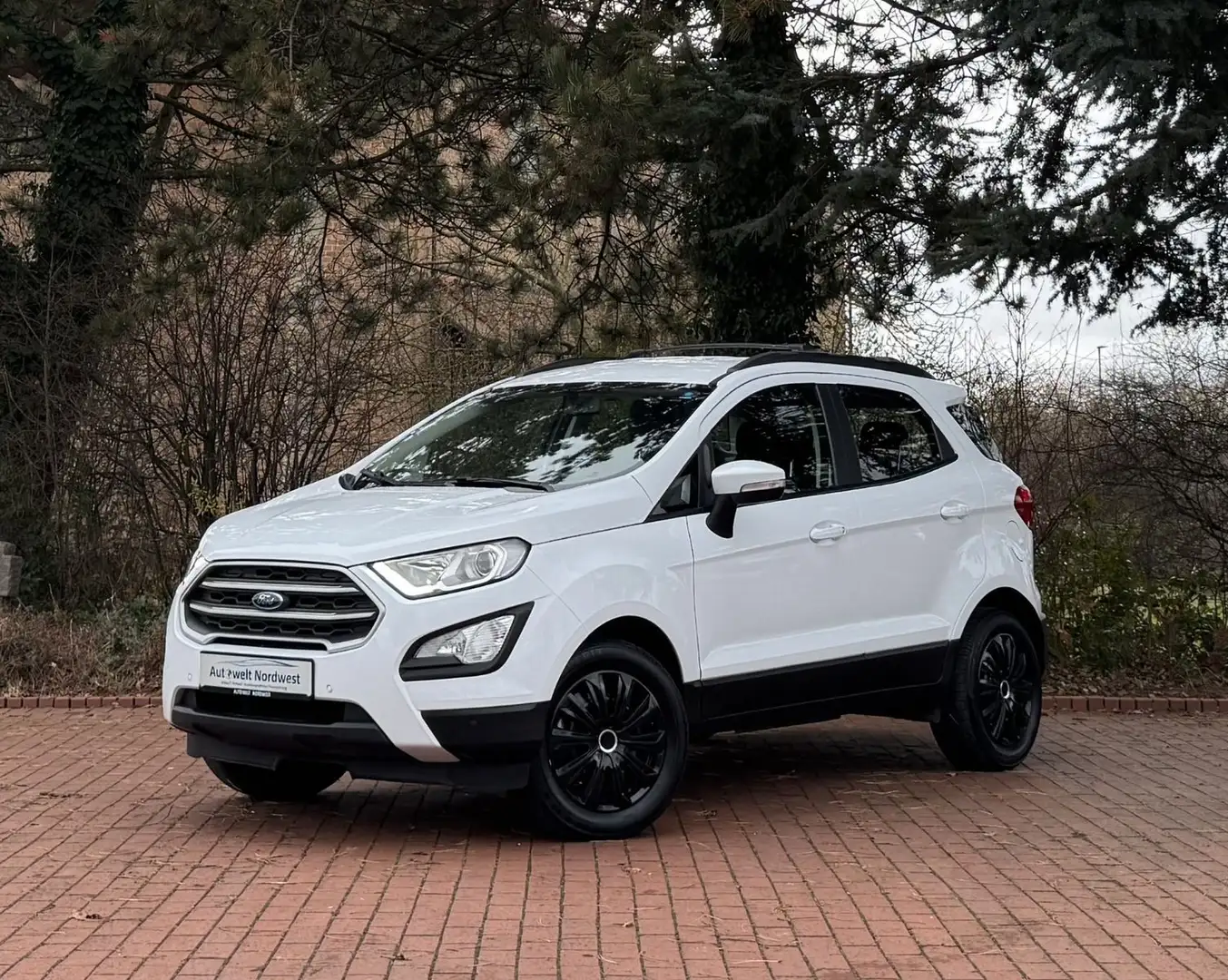 Ford EcoSport |LED TFL|SHz|PDC|Touch|Apple|Android! Weiß - 1