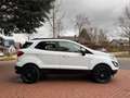 Ford EcoSport |LED TFL|SHz|PDC|Touch|Apple|Android! Weiß - thumbnail 9