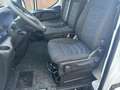 Iveco Daily 35S14 140 pk Aut. L2H2 Lees Advertentie Airco ECC, Blanco - thumbnail 19