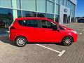 Ford B-Max 1.0 ecoboost Plus 100cv E6 Rosso - thumbnail 4
