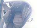 Lexus CT 200h Blanco - thumbnail 22