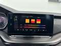 Skoda Octavia 2.0 TDI DPF RS Kombi Edition 4x4 * EDITION / PA... Grün - thumbnail 31