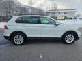 Volkswagen Tiguan Comfortline BMT/Start-Stopp Weiß - thumbnail 12