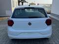 Volkswagen Polo Bianco - thumbnail 2
