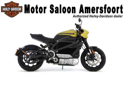 Harley-Davidson LiveWire ELW BTW-MOTOR!