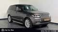 Land Rover Range Rover Autobiography 4.4 SDI-PANO-TV-ACC-AHK-KAM-MERIDIAN Grau - thumbnail 9