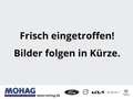 Ford Focus Turnier 1.5l ST-Line *Verkehrszeichenerk* Grau - thumbnail 2