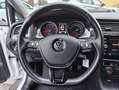 Volkswagen Golf 1.5 TGI DSG 5p. Business BlueMotion Technology Weiß - thumbnail 6