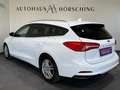 Ford Focus Traveller 1,5 EcoBlue Trend Edition Business Weiß - thumbnail 6