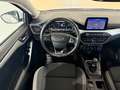 Ford Focus Traveller 1,5 EcoBlue Trend Edition Business Weiß - thumbnail 8