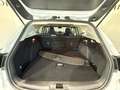 Ford Focus Traveller 1,5 EcoBlue Trend Edition Business Weiß - thumbnail 16