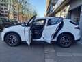 Alfa Romeo Stelvio Stelvio 2.2 Turbodiesel Executive Q4 210cv auto Bianco - thumbnail 7