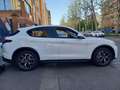 Alfa Romeo Stelvio Stelvio 2.2 Turbodiesel Executive Q4 210cv auto Bianco - thumbnail 13