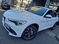 Alfa Romeo Stelvio Stelvio 2.2 Turbodiesel Executive Q4 210cv auto Bianco - thumbnail 1