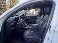 Alfa Romeo Stelvio Stelvio 2.2 Turbodiesel Executive Q4 210cv auto Bianco - thumbnail 9
