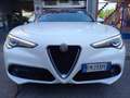 Alfa Romeo Stelvio Stelvio 2.2 Turbodiesel Executive Q4 210cv auto Bianco - thumbnail 12