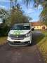 Fiat Talento Panorama 3,0t 2,0 EcoJet 145 L1H1 Family - thumbnail 1