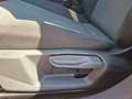 SEAT Ibiza 1.0 Reference * 1.BESITZ Beige - thumbnail 17