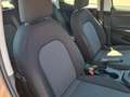 SEAT Ibiza 1.0 Reference * 1.BESITZ Beige - thumbnail 19