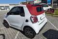 smart forTwo EQ cabrio Prime 22 kw Bianco - thumbnail 5