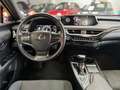 Lexus UX 250h Business 2WD - thumbnail 28